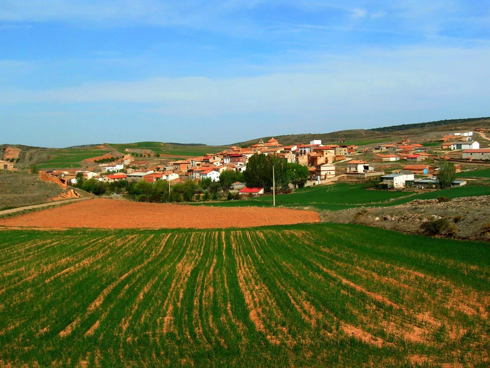 Foto del Registro Civil de Aldehuela de Liestos