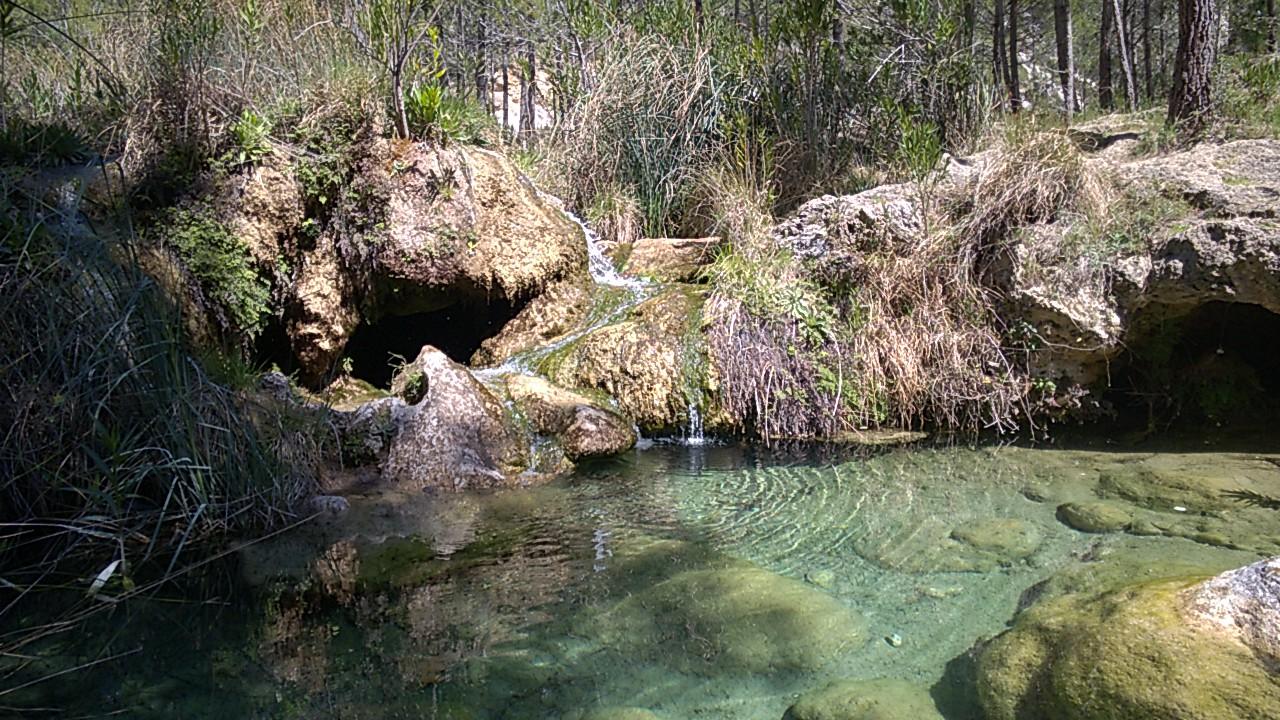Foto del Registro Civil de Bicorp