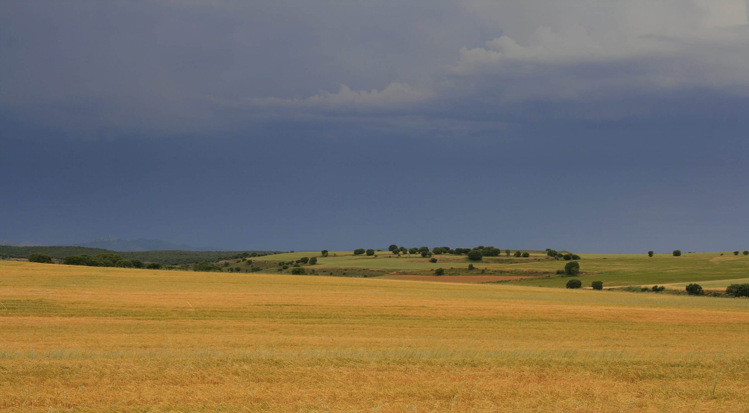 Foto del Registro Civil de Bliecos