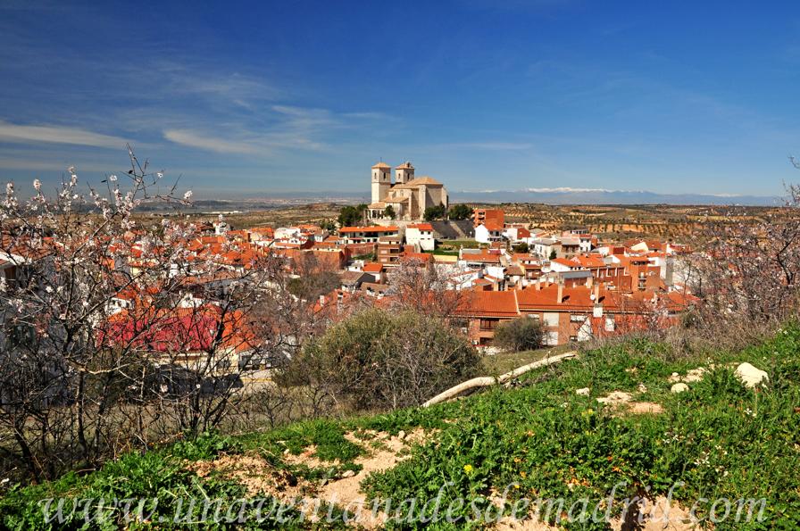 Foto del Registro Civil de Campo Real