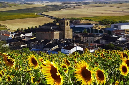 Foto del Registro Civil de Campos del Paraíso