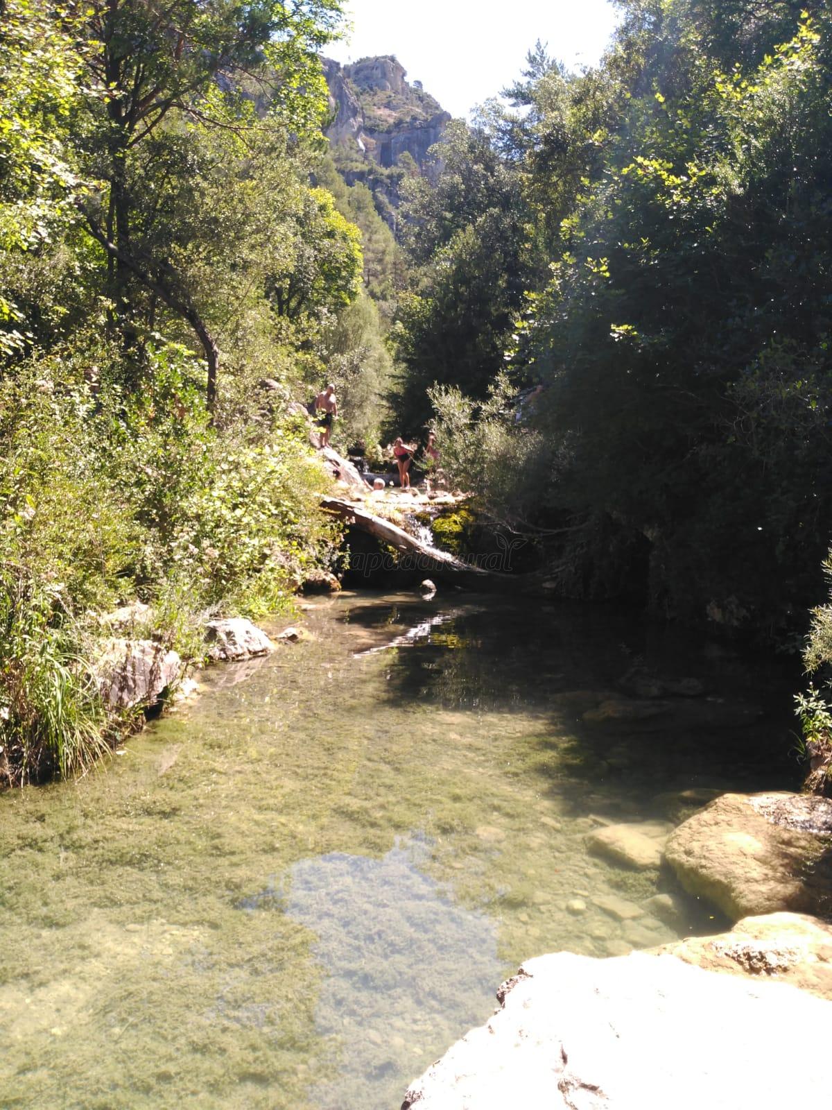 Foto del Registro Civil de Capafonts
