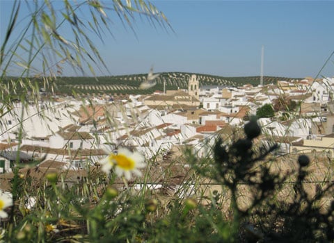 Foto del Registro Civil de Casariche