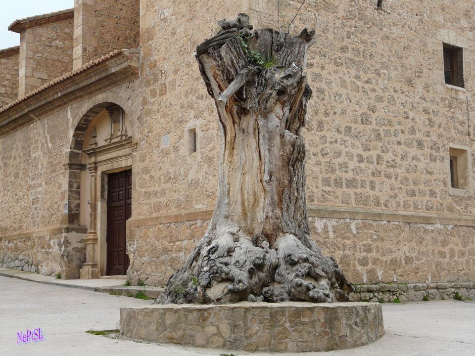 Foto del Registro Civil de Cuevas Labradas