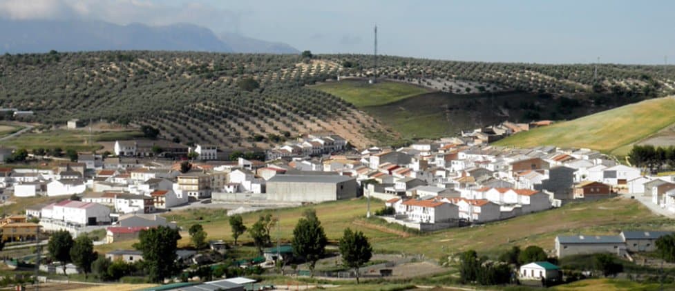 Foto del Registro Civil de Domingo Pérez de Granada