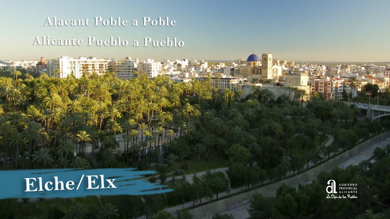 Foto del Registro Civil de Elche/Elx