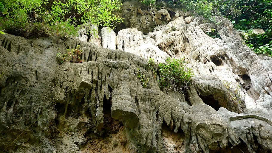 Foto del Registro Civil de Estubeny