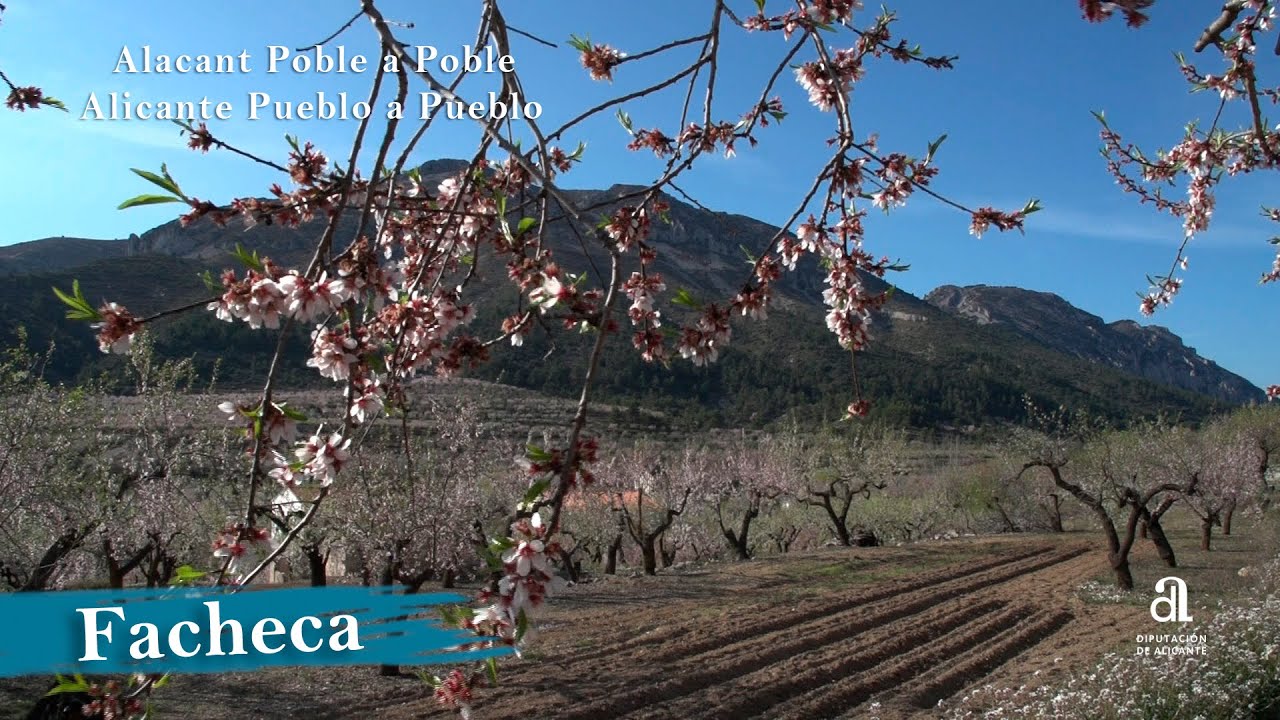 Foto del Registro Civil de Facheca