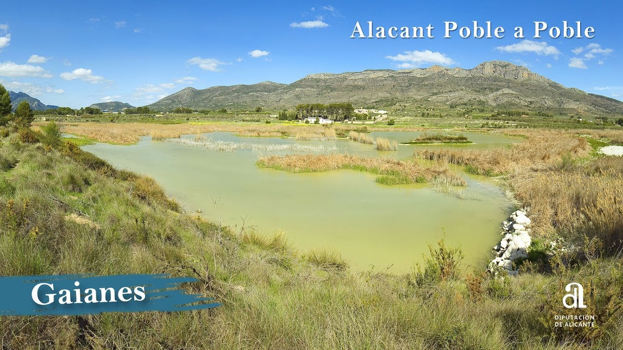 Foto del Registro Civil de Gaianes