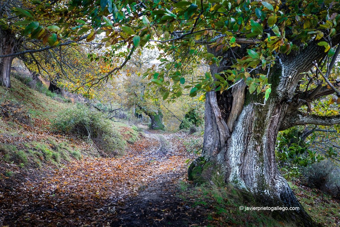 Foto del Registro Civil de Hermisende