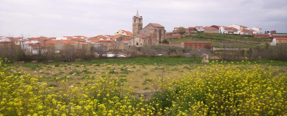 Foto del Registro Civil de Holguera