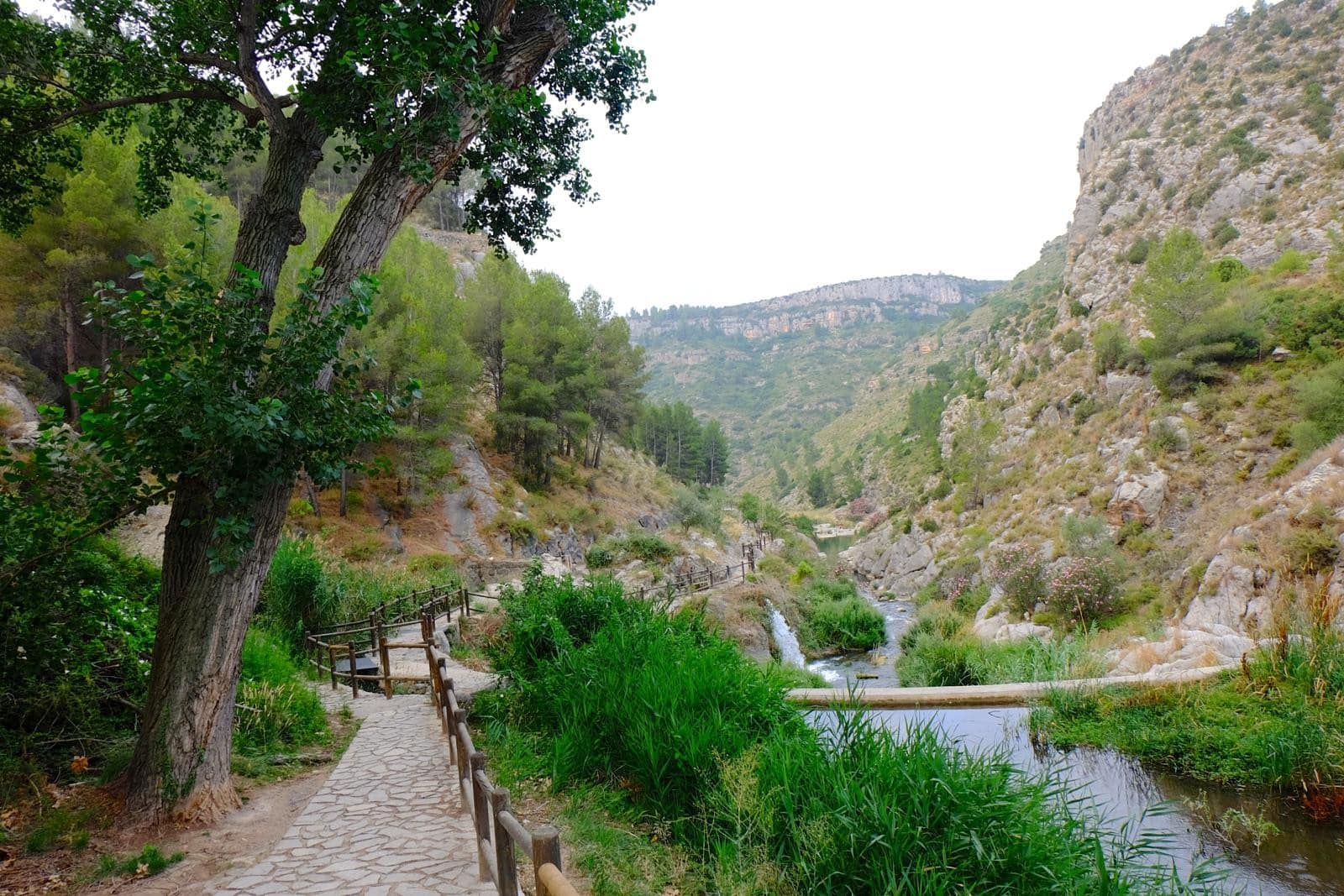 Foto del Registro Civil de Jérica