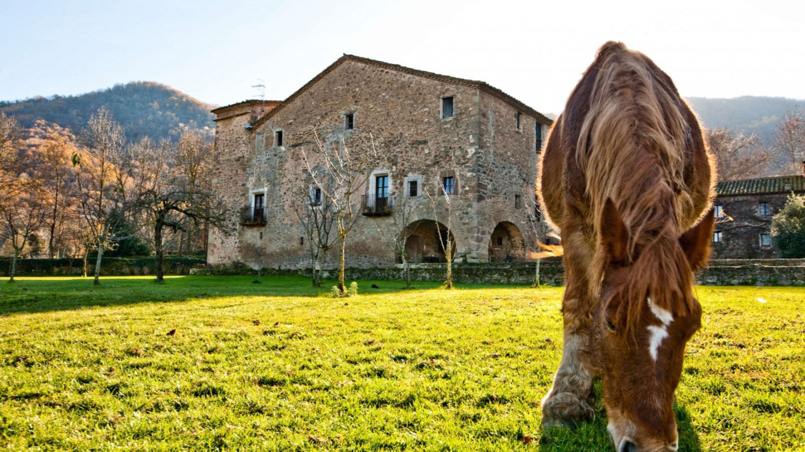 Foto del Registro Civil de La Vall de Bianya