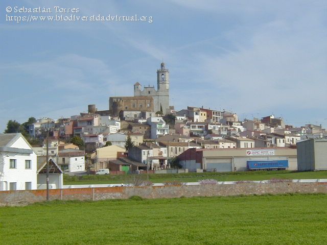 Foto del Registro Civil de Llagostera