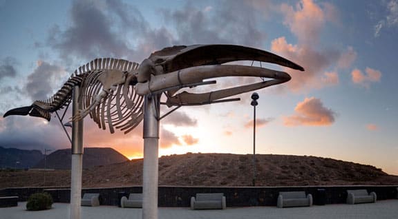 Foto del Registro Civil de Los Silos