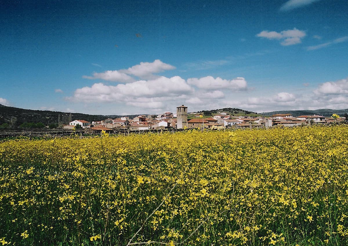 Foto del Registro Civil de Malpartida de Corneja