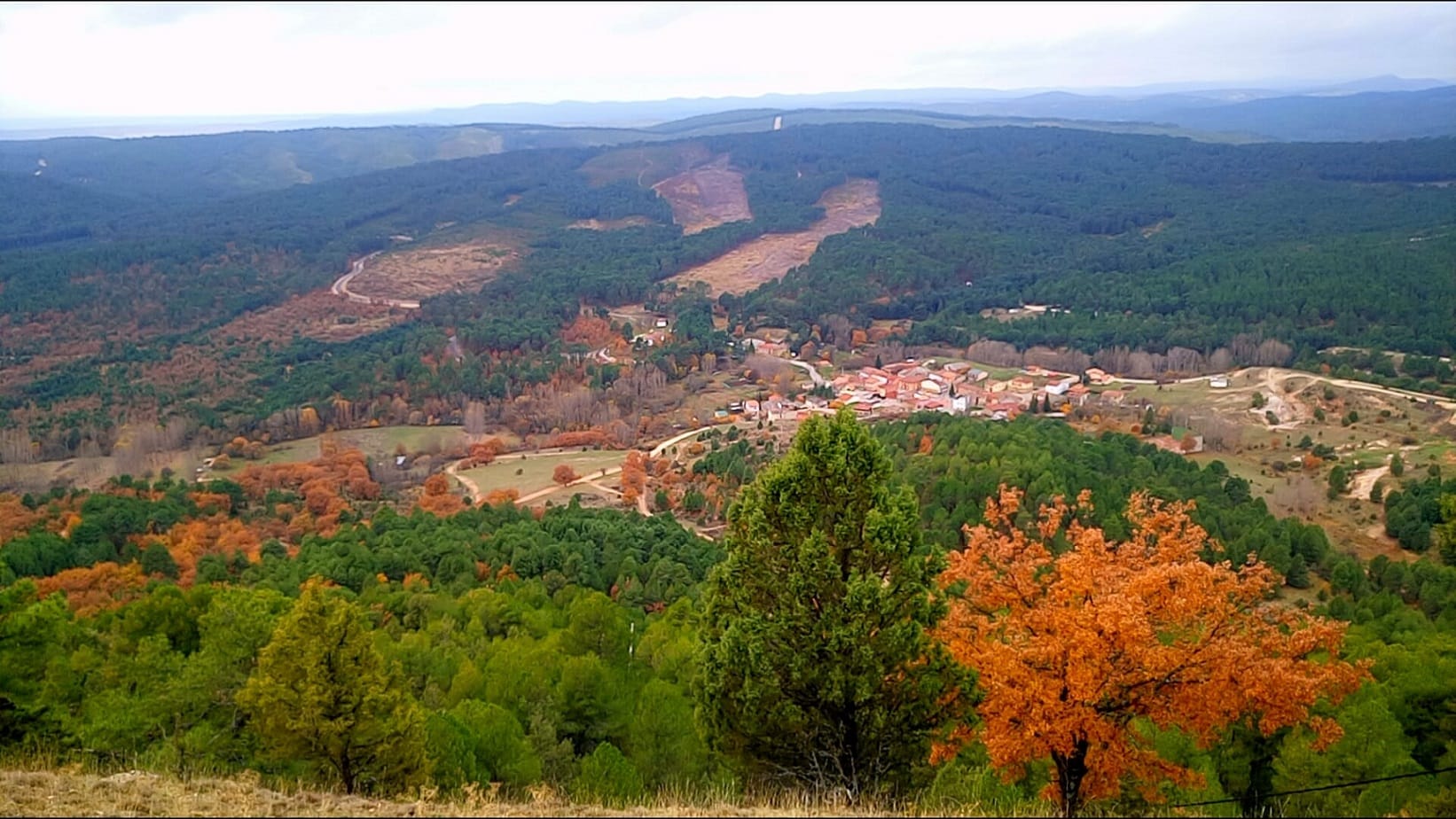 Foto del Registro Civil de Muriel Viejo