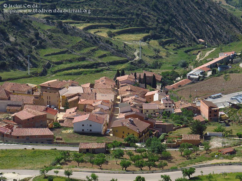 Foto del Registro Civil de Olocau del Rey