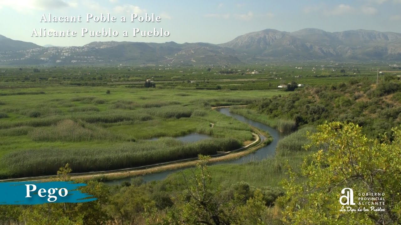 Foto del Registro Civil de Pego