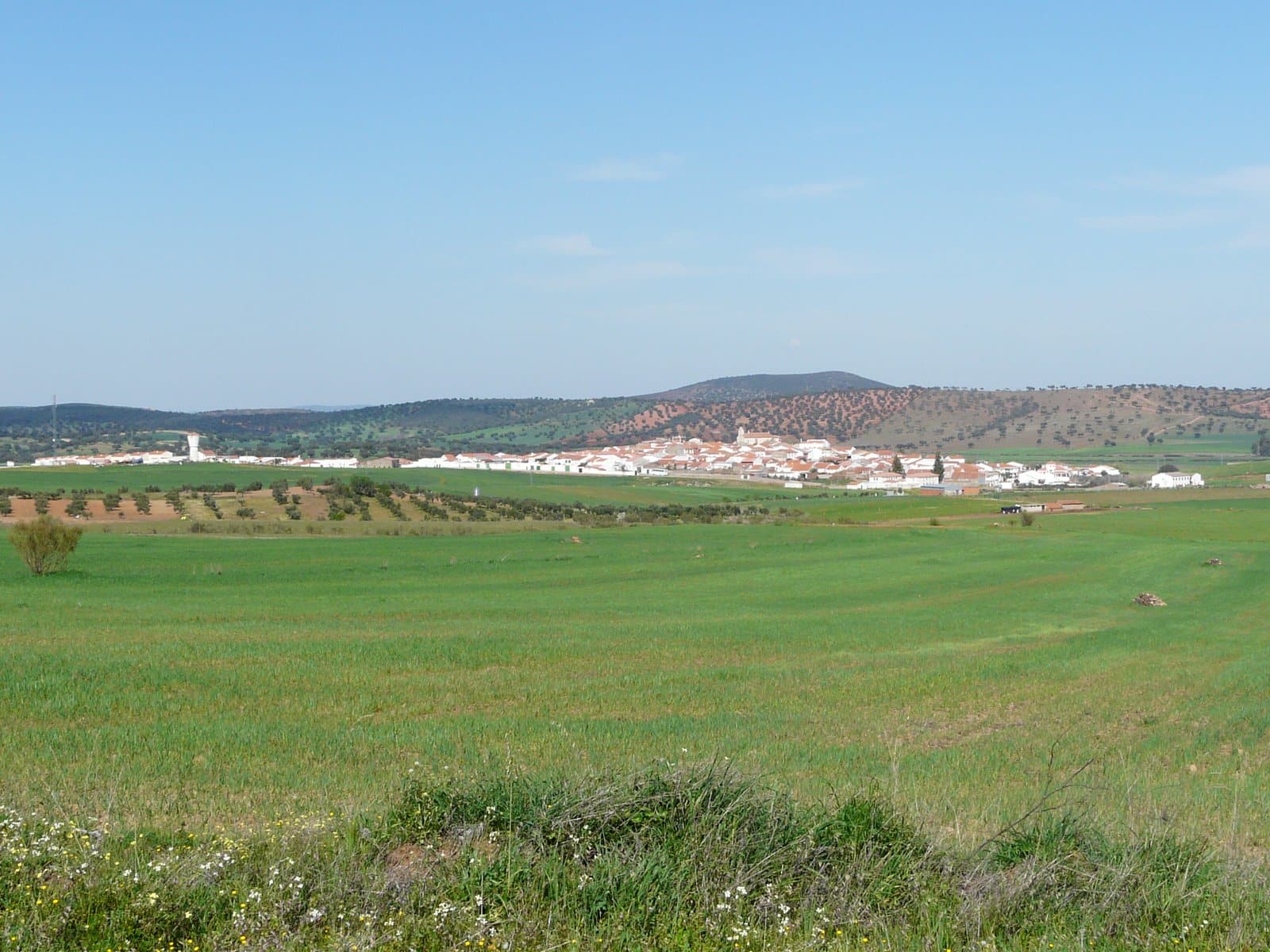 Oficina del Registro Civil de Retamal de Llerena (Badajoz) ️