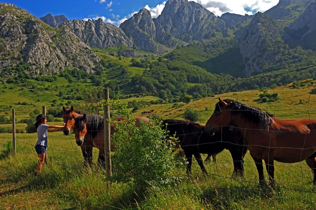 Foto del Registro Civil de Reyero