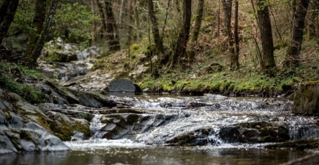 Foto del Registro Civil de Sant Hilari Sacalm