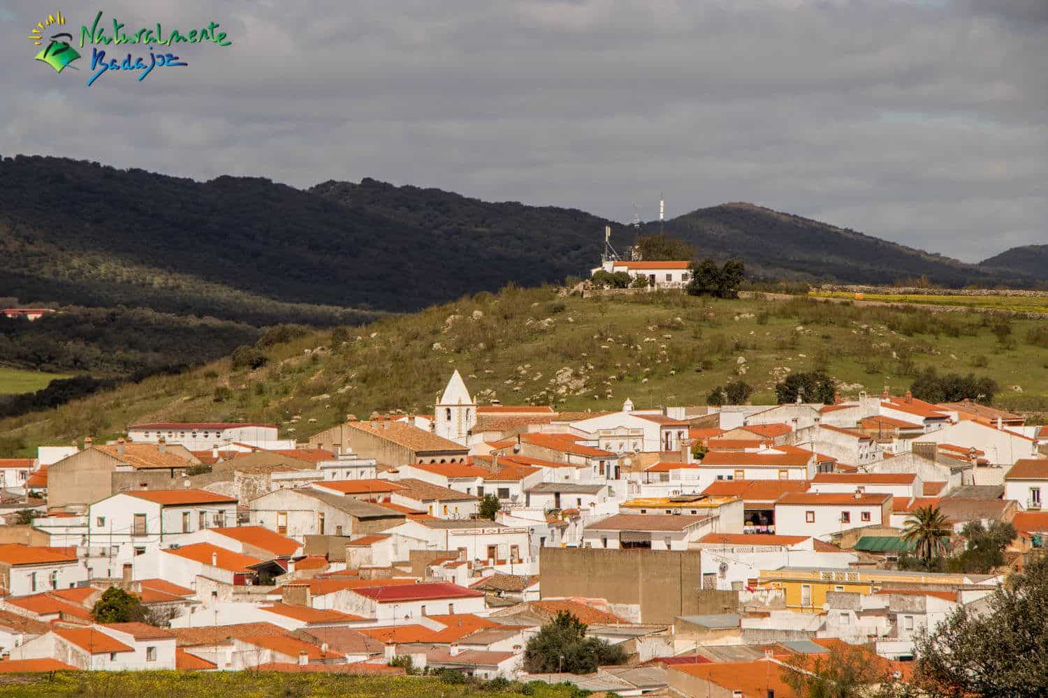 Foto del Registro Civil de Táliga