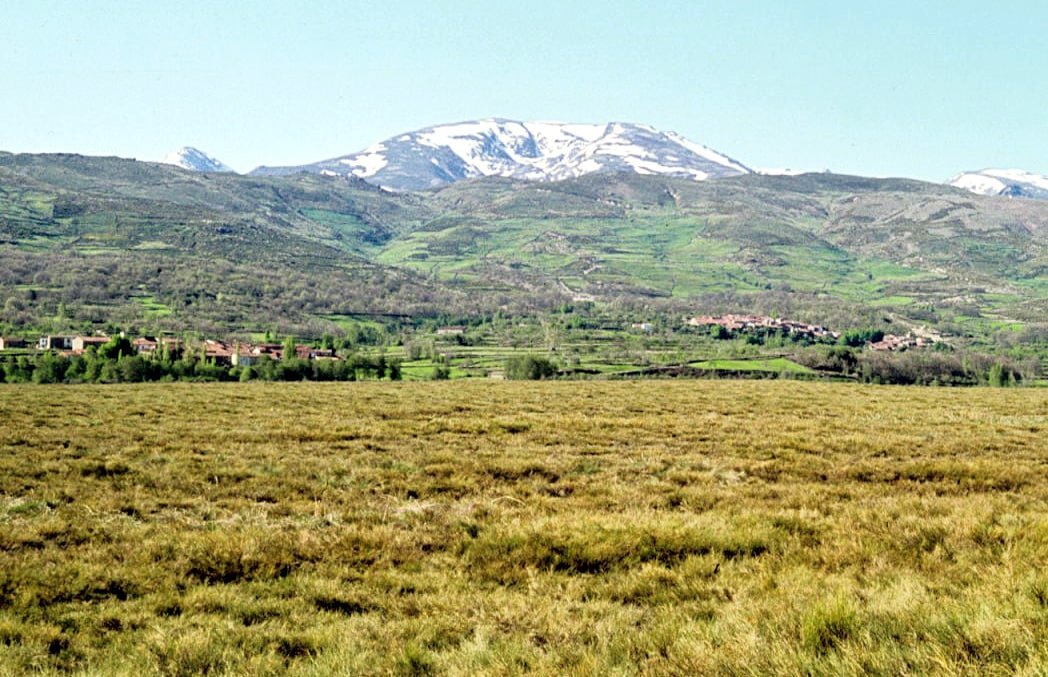 Foto del Registro Civil de Umbrías