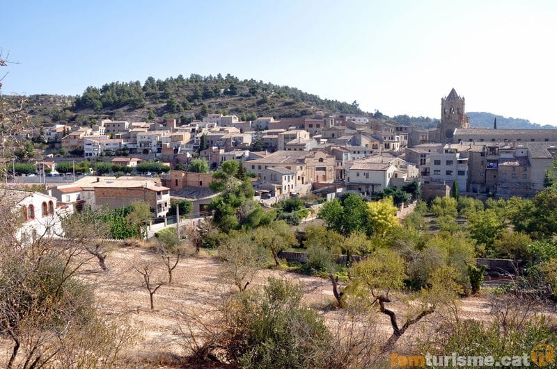 Foto del Registro Civil de Vallbona de les Monges