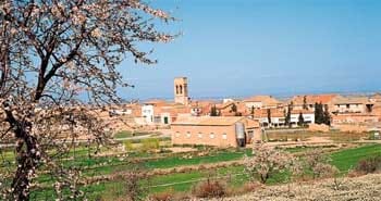 Foto del Registro Civil de Vilagrassa